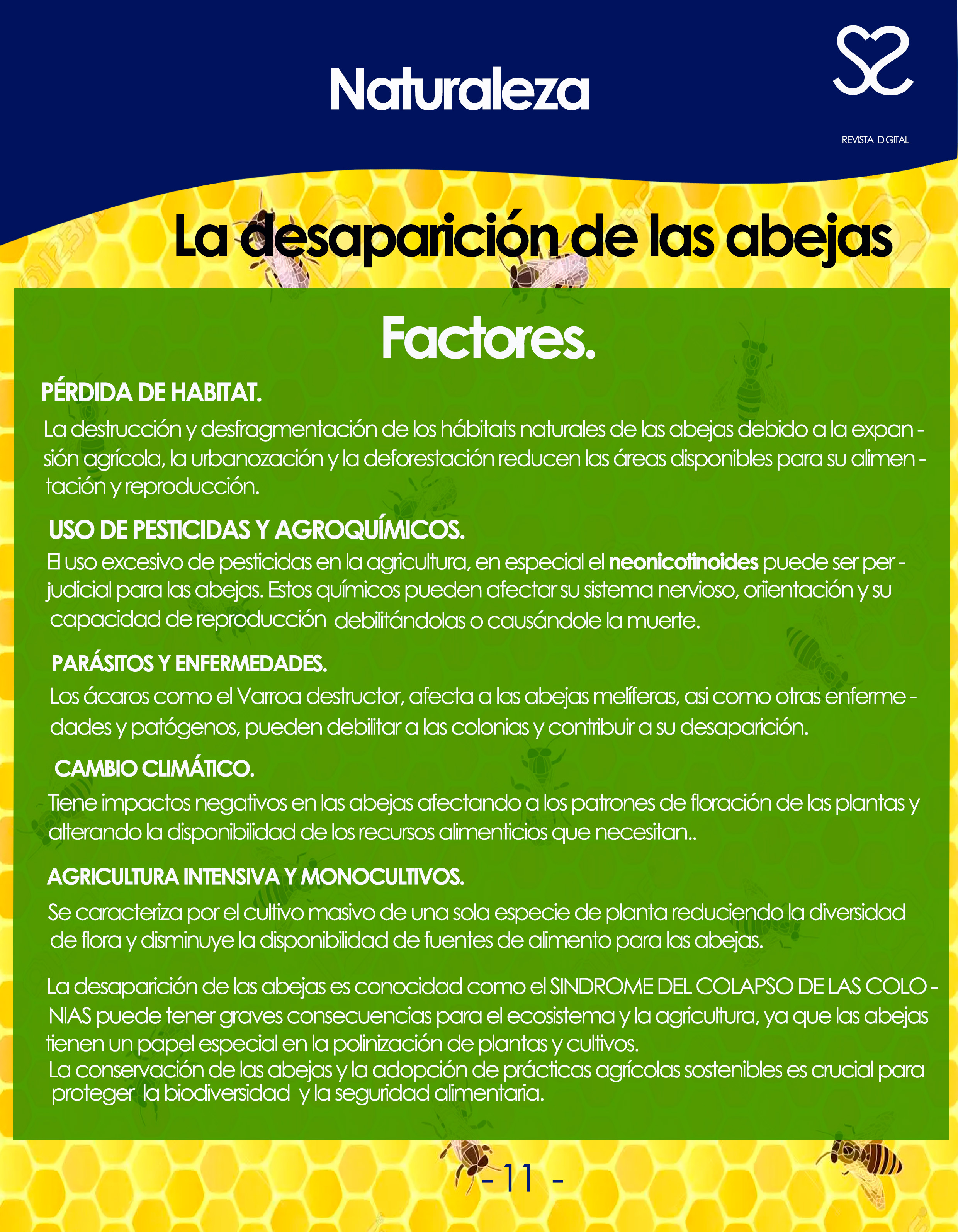 CIENCIA: «¿LAS ABEJAS ESTAN DESAPARECIENDO?». – www.cmstudiosinc.com